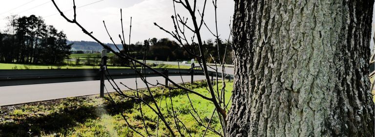 Schaddokumentation von Straßen, Bäumen und Schildern