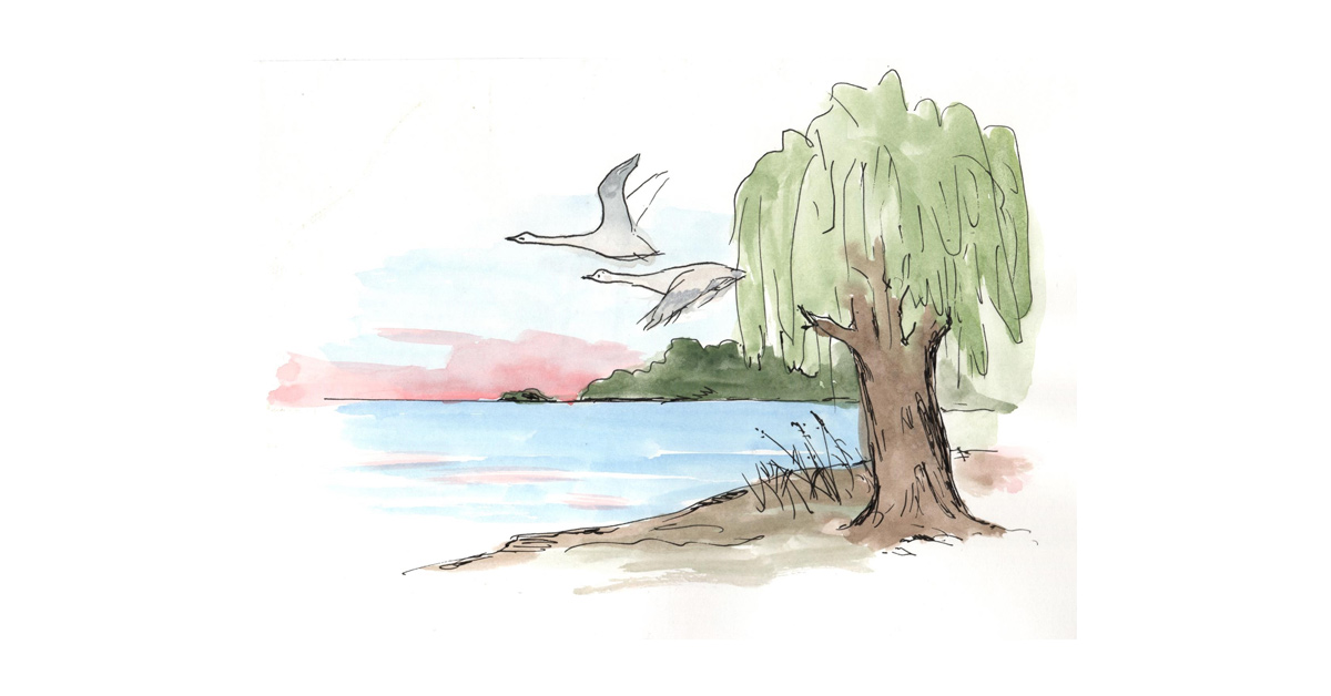 uckerseen